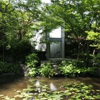 新緑の池Ⅳ