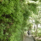photo_2618161