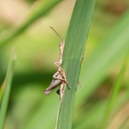 家政婦は見た　IMG_3105tr