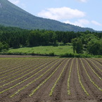 田舎の風景