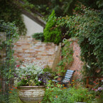 un jardin des fleurs.1