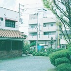 日常スナップ。