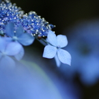 Planet BLUE 8