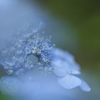 Planet BLUE 10