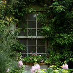Jardin.1