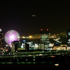 AF ZOOM-NIKKOR 70-300mm F/4-5.6G で