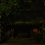 月島を守る住吉神社の夜の佇まい