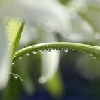 涼