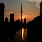 夕日ながく