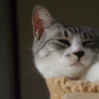もう眠らせて～