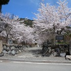 高島市　古刹酒波寺2012#1
