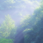 希望の光
