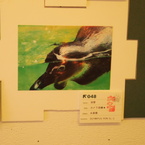 夏の展覧会　その２