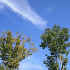 秋の空　高く