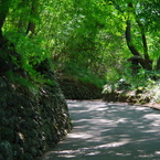 photo_2732611