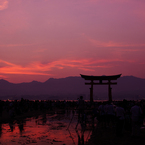 厳島神社　大鳥居夕焼け