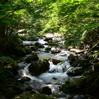 赤西渓谷（壱）