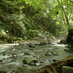 長野　横川渓谷