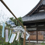 DSC00557