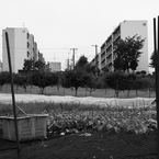 団地