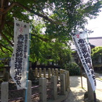 P1000862