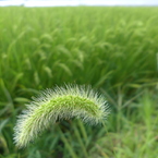 P1010139