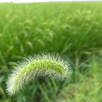 P1010140