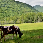 奥日光　光徳牧場Ｉ