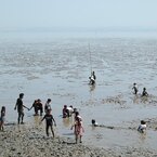 干潟と子供達
