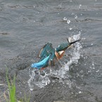 捕ったど～！！