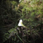 20130923m