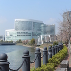 2013春の横浜