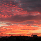 今朝の空