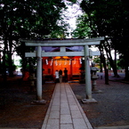07