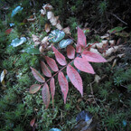 20131013s