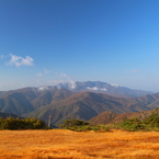 山の草紅葉