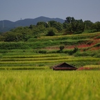 千早赤阪村