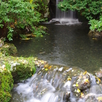 札幌　中島公園　５