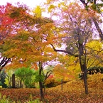 札幌　中島公園　８