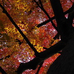 空が紅と黄に覆われて