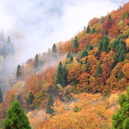 鮮やかな山の紅葉