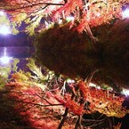 穴弘法の鏡面紅葉