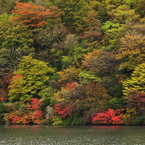 湖水に秋が沈みゆく