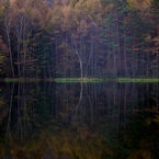 Silent
