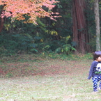 我、関セズ…