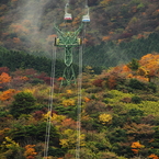 雨上がり