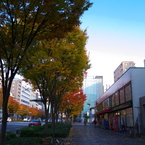 P1020830