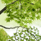 再度公園（弐）