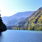 紅秋　庄川峡船の旅５