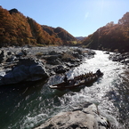 荒川ライン